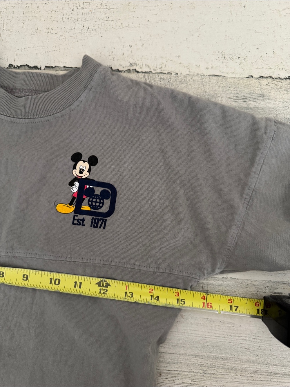 Disney Spirit Jersey - Gray - Kids Small - Picture 5 of 7
